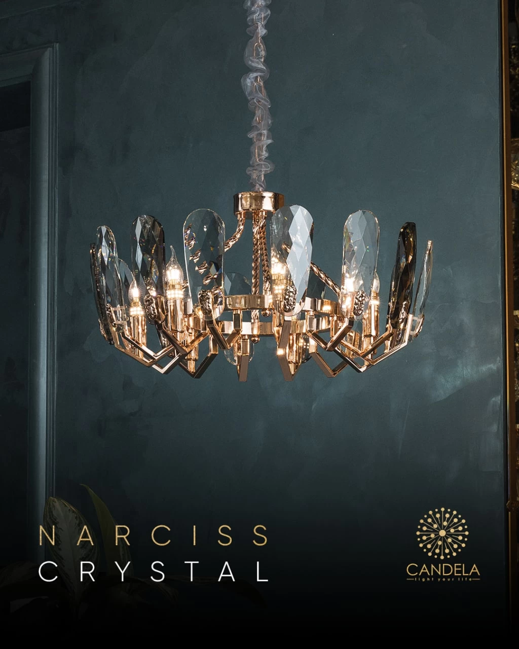 CANDELA_NARCISS_1