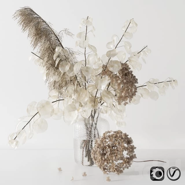 Bouquet with lunaria, pampas grass and hydragea