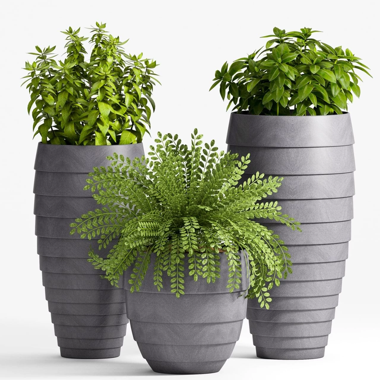 Plant Set -25