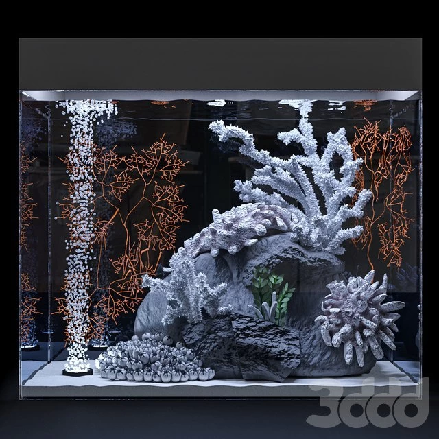 Marine aquarium