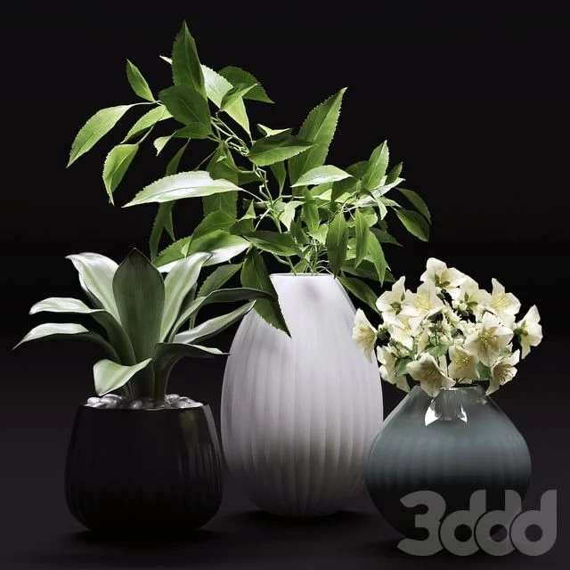 Bouquet of flowers in a vase 36