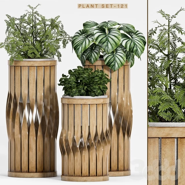 Plant set-121