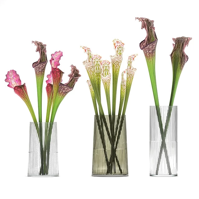 Bouquet Sarracenia 09102021 00