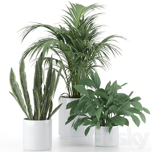 Plant-Set-001