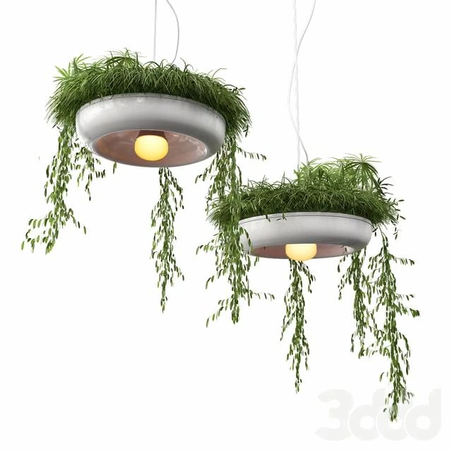 Chandelier with plants