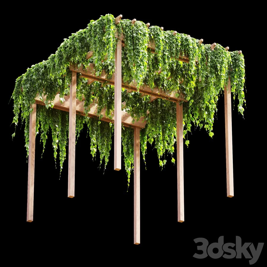 Pergola with grape leaves v2