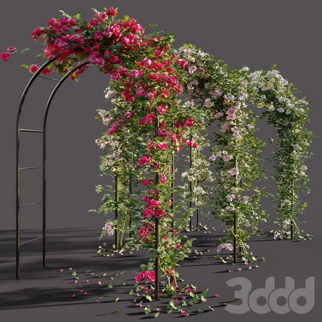 Arch with roses