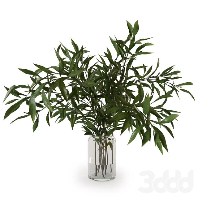 Branches in a vase 007