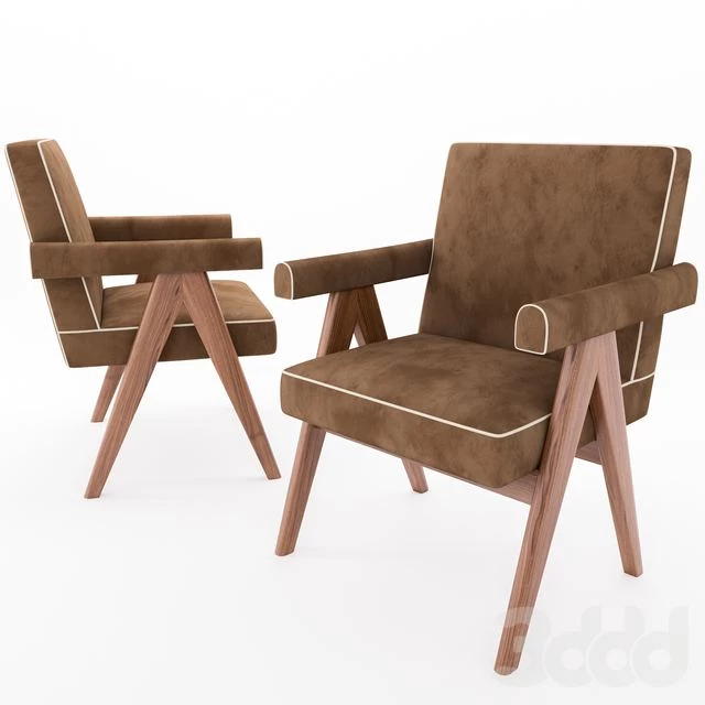 Pierre Jeanneret Senate-Committee Chair