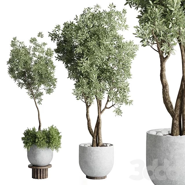 Collection Outdoor Indoor plant 52 concrete dirt vase pot tree