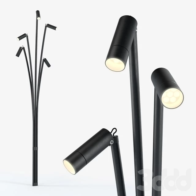 Brillamenti reanuzza