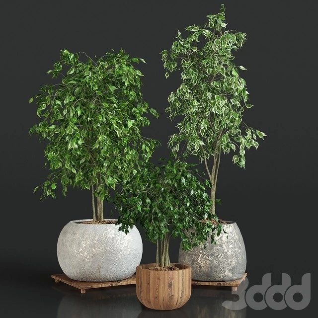 1606259_5a514e3c2b3a8