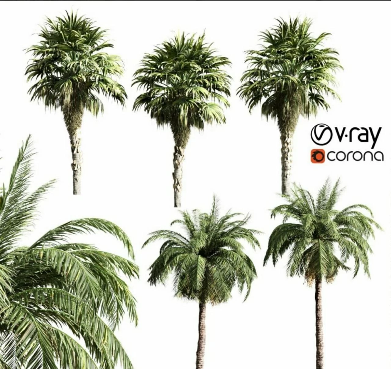 2897347.5ee4bc149719f