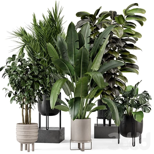 Indoor Plants in Ferm Living Bau Pot Large - Set 879