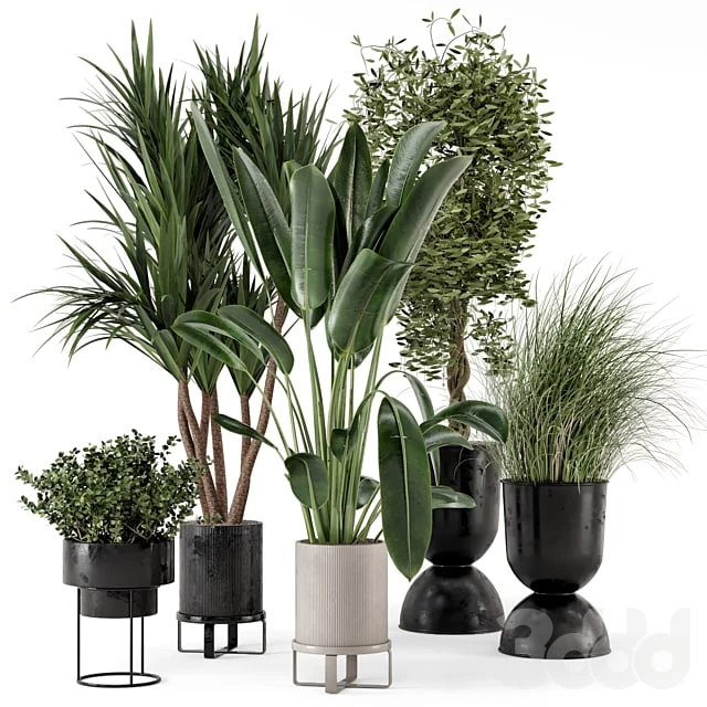 Indoor Plants in Ferm Living Bau Pot Large - Set 312