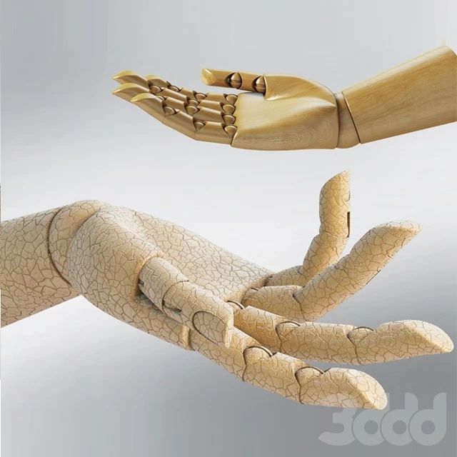 Wooden hand, model for artists