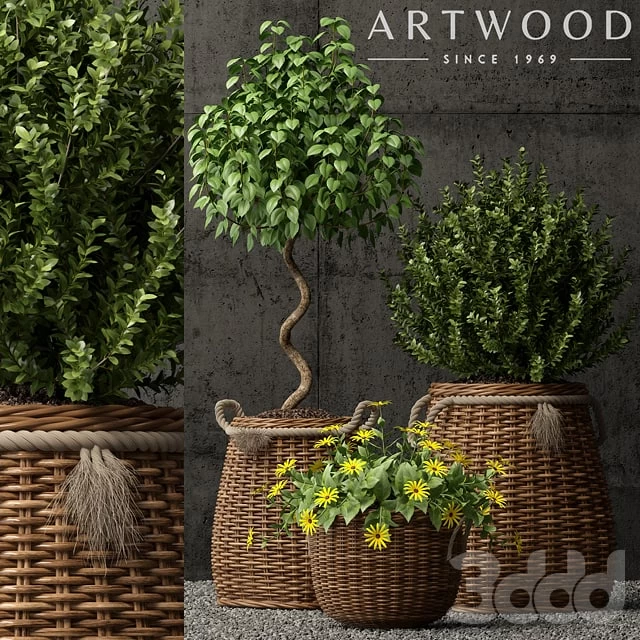 1432452.59f07f747386f