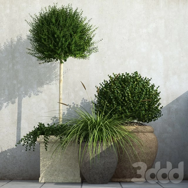 760638.584c55ed66ee0