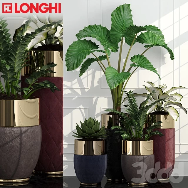 1108792.5926b8084710d