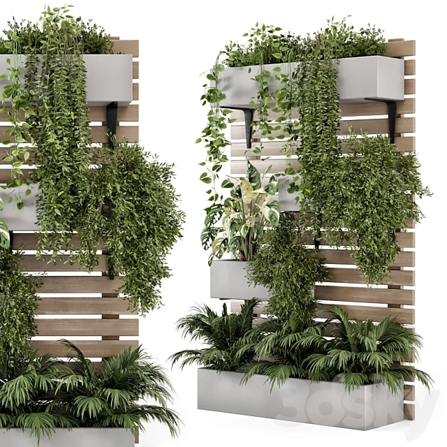 Indoor Hanging Plants in Metal Stand - Set 1131