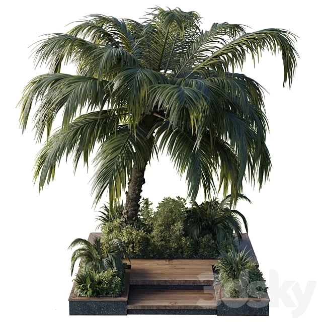 garden pot tree palm bush fern grass concrete base Collection Outdoor plant 102