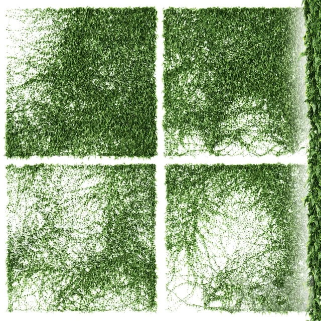 1914611.5afaf7b978094