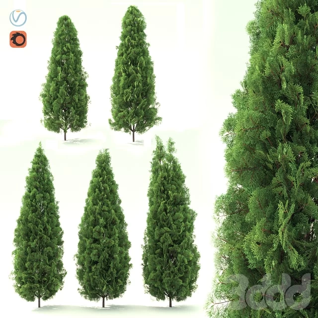 1291409.599acf1bdeda7