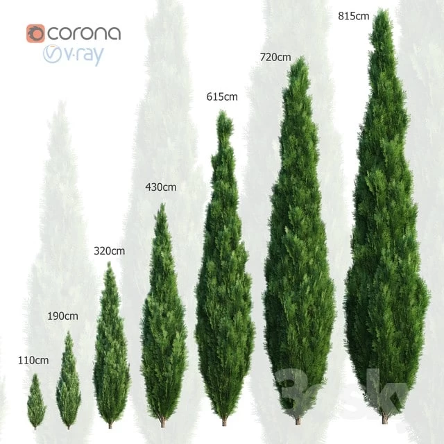 1335639.59b98fa4ce80f