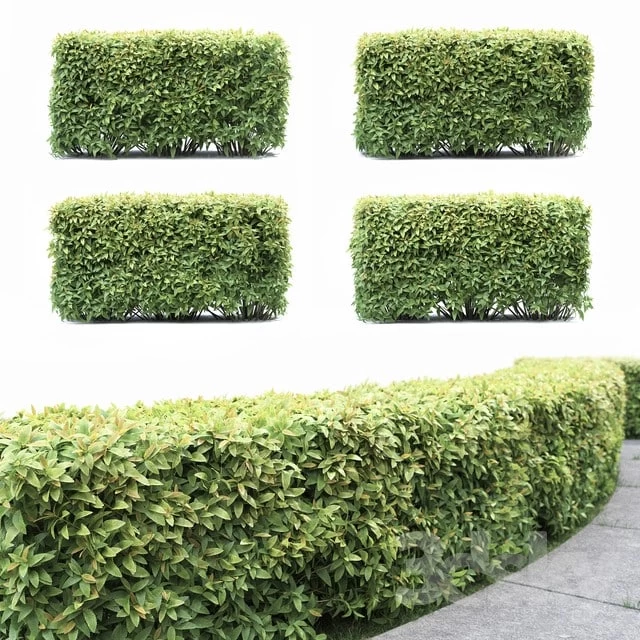 1538573.5a291748deabf