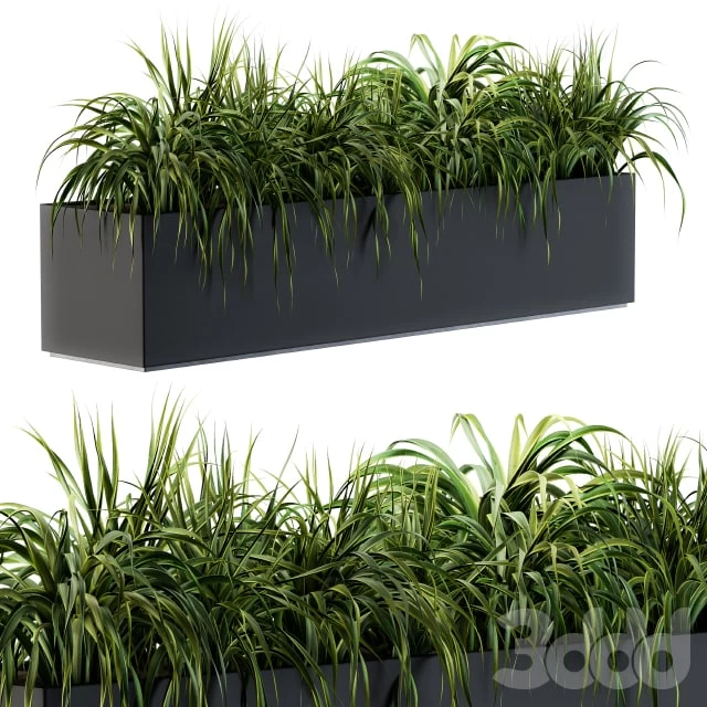 Ranch Grass plants in box - Outdoor Set 63
