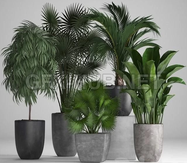 2316362.5c1794ea5fa05