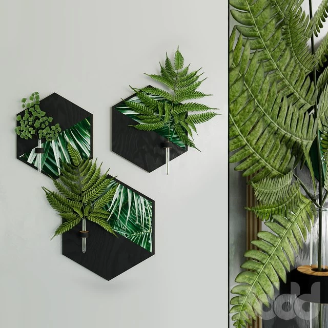 Hexagon plant hanger with fern sprigs by WoodaHome