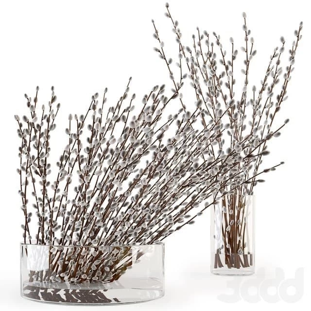 Branches in a vase 006