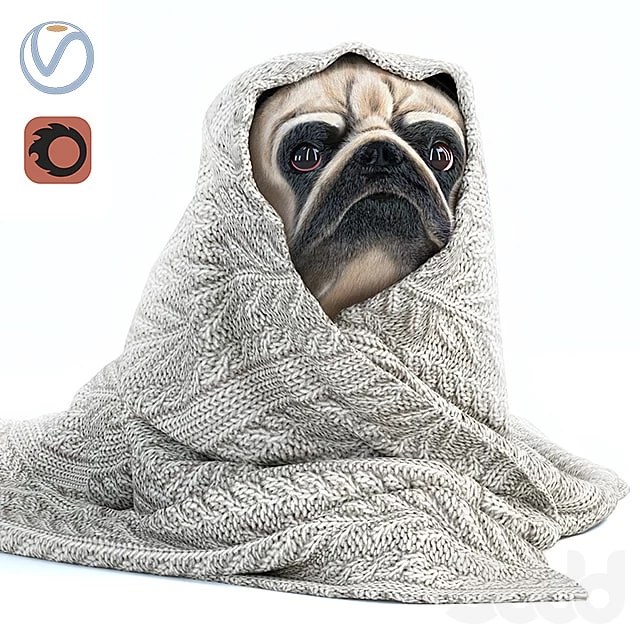 .jpeg Pug 1 - Winter is coming