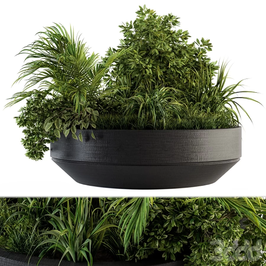 Outdoor Plants tree in Concrete Pot - Set 144