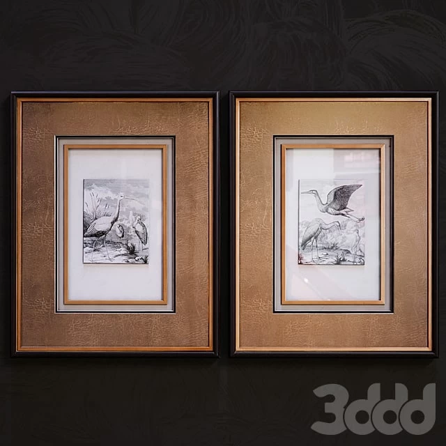 Antique Birds pictures