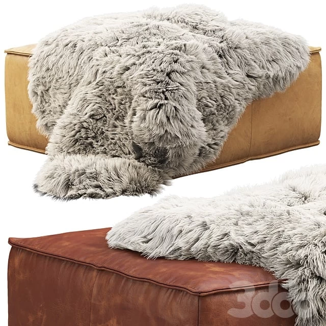 3385025.607af46435da6