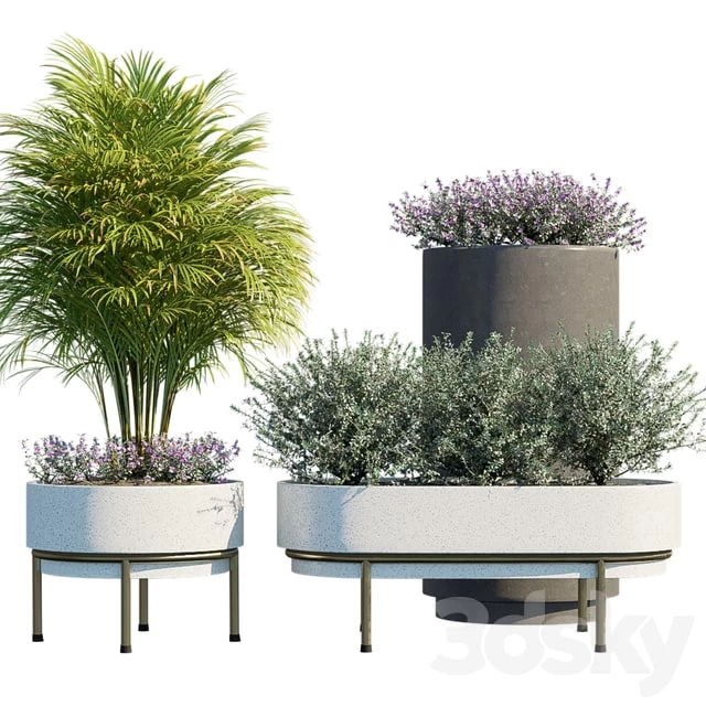 2450814.5cea6e21d0147