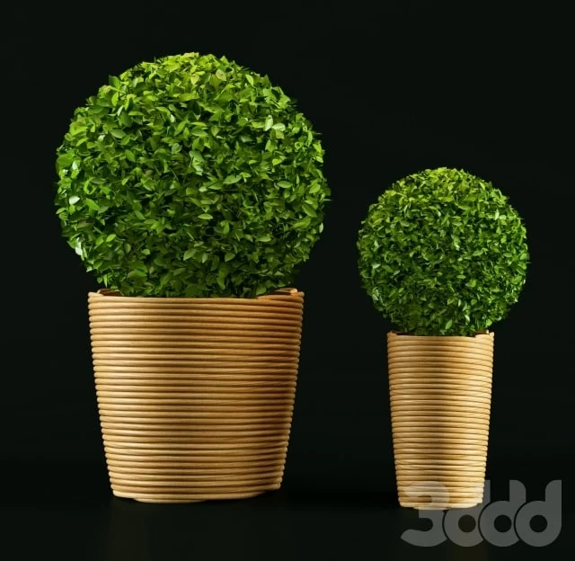 1136419.5937e995782d1