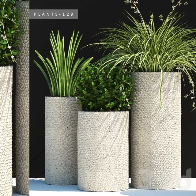 1244868.597e47843cd52