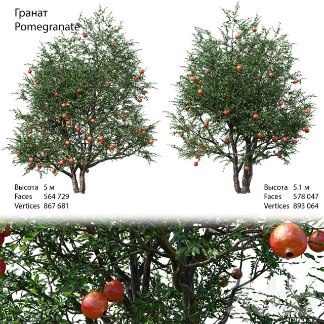 2425126.5cbe1dfe421a2