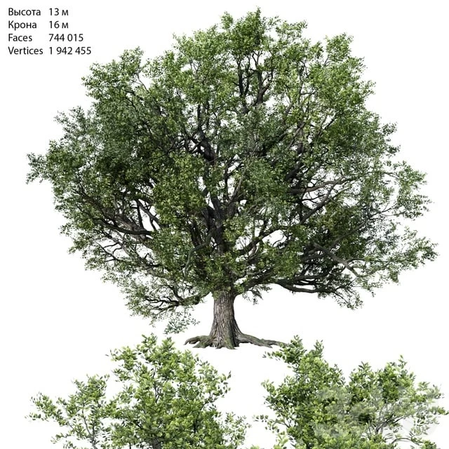 2402964.5c9ce9dd89616