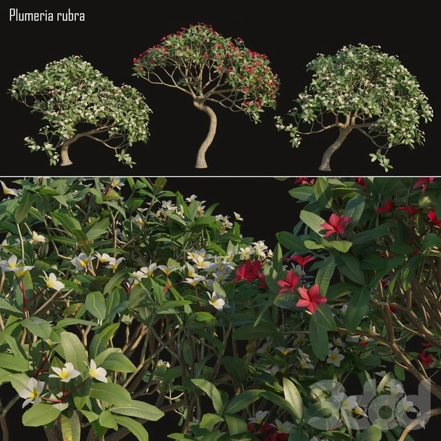 2411358.5caac8432f3f2