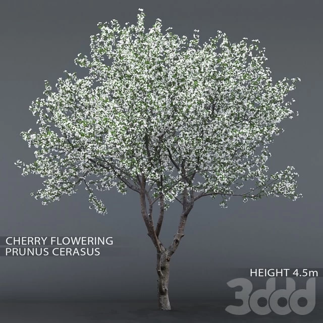 1893591.5aeef430a285f