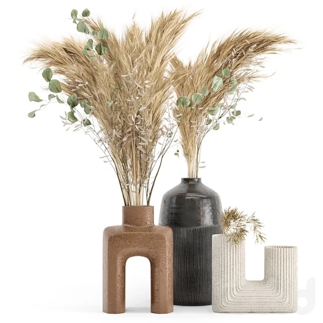 Dry plants 19 - Dried Plantset Pampas with Concrete