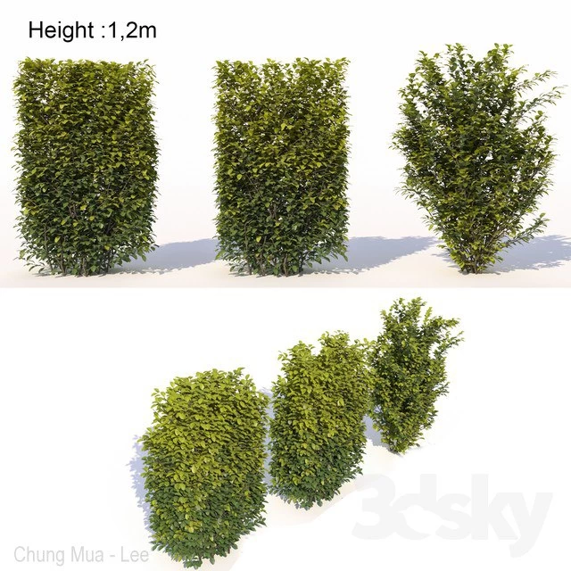 2119155.5b80af536603b