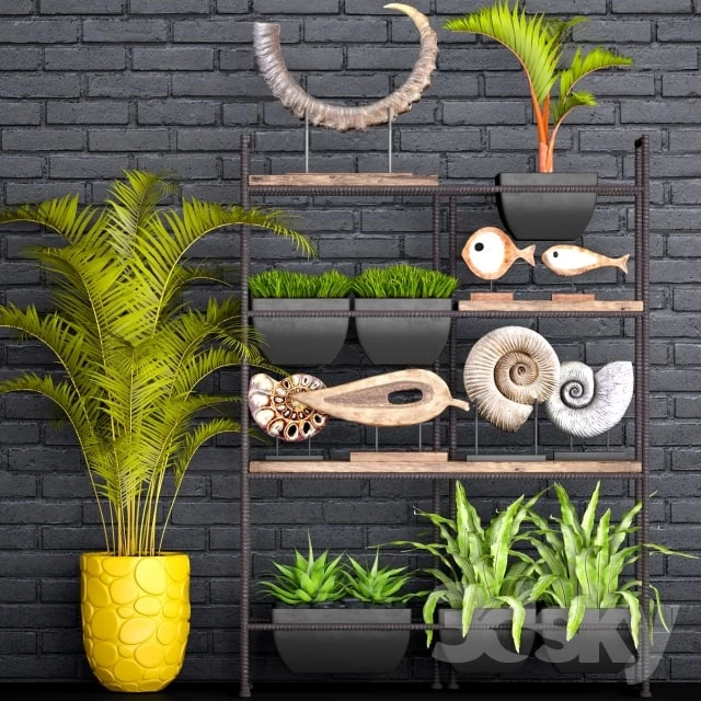 Decorative set. 1. Black brickwork, tusk, horn, palm tree, ammonite, figurine, assplenium, loft, shelf with decor, rack