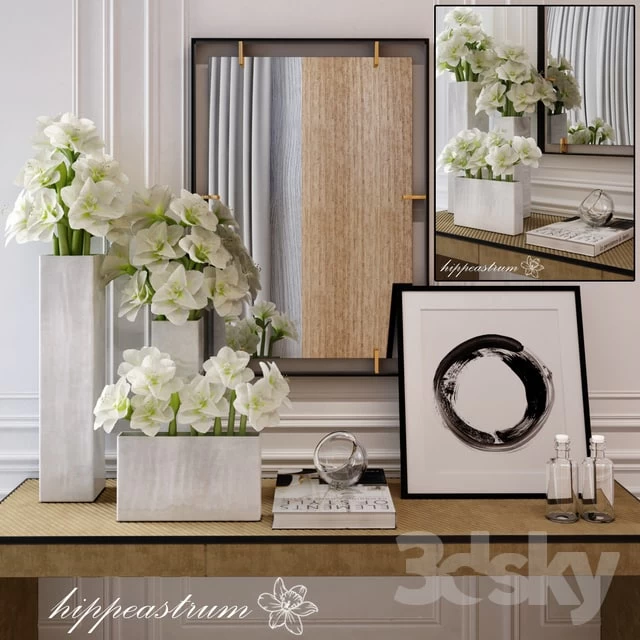 hippeastrum Flower decorative set