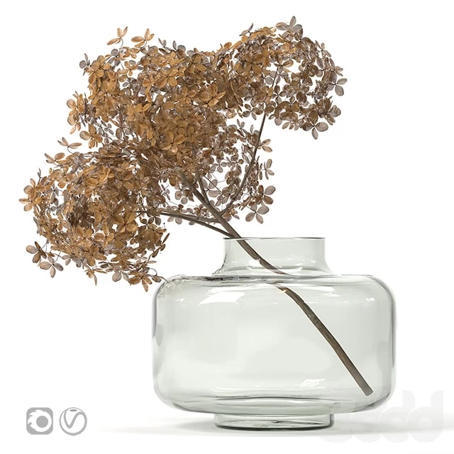 Dried flower vase