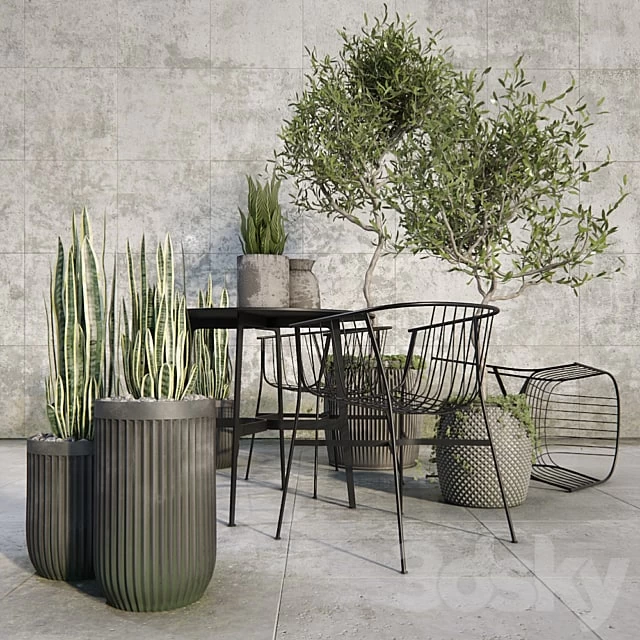 Outdoor_plant_set